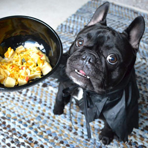 犬の手作り食の量について 手作り犬ご飯 レシピブログ グーわん